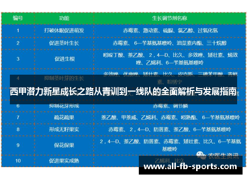 西甲潜力新星成长之路从青训到一线队的全面解析与发展指南